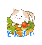 ぷくぷくはちわれ・グルメ便り（個別スタンプ：16）