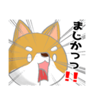 むくお よく使うスタンプ（個別スタンプ：5）