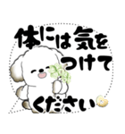 犬さん「大き目文字・吹き出し」（個別スタンプ：14）