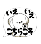 犬さん「大き目文字・吹き出し」（個別スタンプ：24）