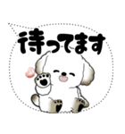 犬さん「大き目文字・吹き出し」（個別スタンプ：34）