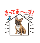 『フレンチブル』のスタンプ（個別スタンプ：17）