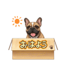『フレンチブル』のスタンプ（個別スタンプ：28）