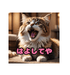 かわいいニャンコの関西弁スタンプ（個別スタンプ：3）