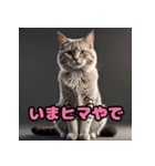 かわいいニャンコの関西弁スタンプ（個別スタンプ：9）