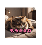 かわいいニャンコの関西弁スタンプ（個別スタンプ：11）