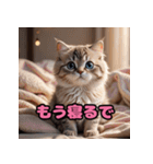 かわいいニャンコの関西弁スタンプ（個別スタンプ：13）