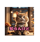かわいいニャンコの関西弁スタンプ（個別スタンプ：15）