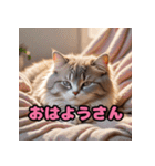 かわいいニャンコの関西弁スタンプ（個別スタンプ：17）