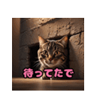 かわいいニャンコの関西弁スタンプ（個別スタンプ：37）