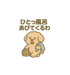 トイプードルこむぎ＆ぬぼた昭和スタンプ（個別スタンプ：3）