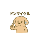 トイプードルこむぎ＆ぬぼた昭和スタンプ（個別スタンプ：20）