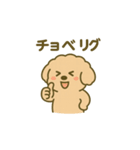 トイプードルこむぎ＆ぬぼた昭和スタンプ（個別スタンプ：29）