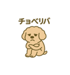 トイプードルこむぎ＆ぬぼた昭和スタンプ（個別スタンプ：30）