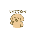 トイプードルこむぎ＆ぬぼた昭和スタンプ（個別スタンプ：38）