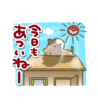三毛猫にゃん助☆猛暑の夏(再販)（個別スタンプ：7）