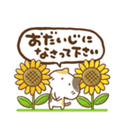 三毛猫にゃん助☆猛暑の夏(再販)（個別スタンプ：9）