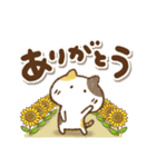 三毛猫にゃん助☆猛暑の夏(再販)（個別スタンプ：17）
