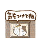 三毛猫にゃん助☆猛暑の夏(再販)（個別スタンプ：29）