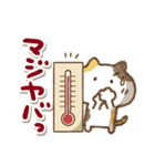 三毛猫にゃん助☆猛暑の夏(再販)（個別スタンプ：35）