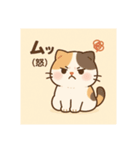 Marron Calico Stamp（個別スタンプ：7）