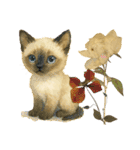 かわいいシャム猫友情出演白猫40個スタンプ（個別スタンプ：1）