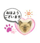 かわいいシャム猫友情出演白猫40個スタンプ（個別スタンプ：2）