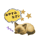 かわいいシャム猫友情出演白猫40個スタンプ（個別スタンプ：4）