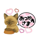 かわいいシャム猫友情出演白猫40個スタンプ（個別スタンプ：6）