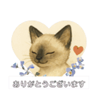 かわいいシャム猫友情出演白猫40個スタンプ（個別スタンプ：8）