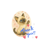 かわいいシャム猫友情出演白猫40個スタンプ（個別スタンプ：9）