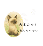 かわいいシャム猫友情出演白猫40個スタンプ（個別スタンプ：20）