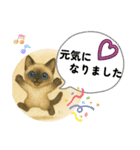 かわいいシャム猫友情出演白猫40個スタンプ（個別スタンプ：21）