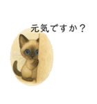かわいいシャム猫友情出演白猫40個スタンプ（個別スタンプ：22）