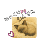 かわいいシャム猫友情出演白猫40個スタンプ（個別スタンプ：24）