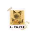 かわいいシャム猫友情出演白猫40個スタンプ（個別スタンプ：28）