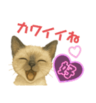 かわいいシャム猫友情出演白猫40個スタンプ（個別スタンプ：29）