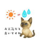 かわいいシャム猫友情出演白猫40個スタンプ（個別スタンプ：32）