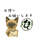 かわいいシャム猫友情出演白猫40個スタンプ（個別スタンプ：34）