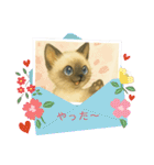 かわいいシャム猫友情出演白猫40個スタンプ（個別スタンプ：40）
