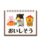 ハムスター 日常編9（個別スタンプ：7）