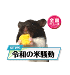 ハムスター 日常編9（個別スタンプ：8）