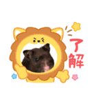 ハムスター 日常編9（個別スタンプ：20）