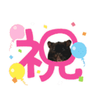 ハムスター 日常編9（個別スタンプ：23）