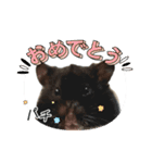 ハムスター 日常編9（個別スタンプ：24）