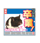 ハムスター 日常編9（個別スタンプ：26）