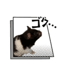 ハムスター 日常編9（個別スタンプ：30）