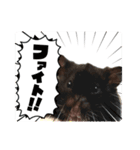 ハムスター 日常編9（個別スタンプ：32）