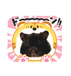ハムスター 日常編9（個別スタンプ：33）