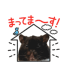 ハムスター 日常編9（個別スタンプ：36）